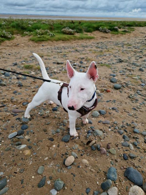 28f469bb 4cc1 43fa b02b 72f367f1f64e